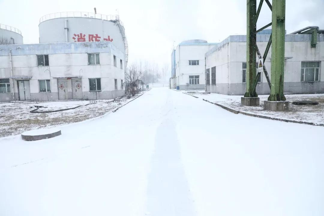 2121非凡·(中国游)体育官方网站